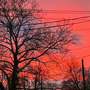 Meet your Posher, Marina